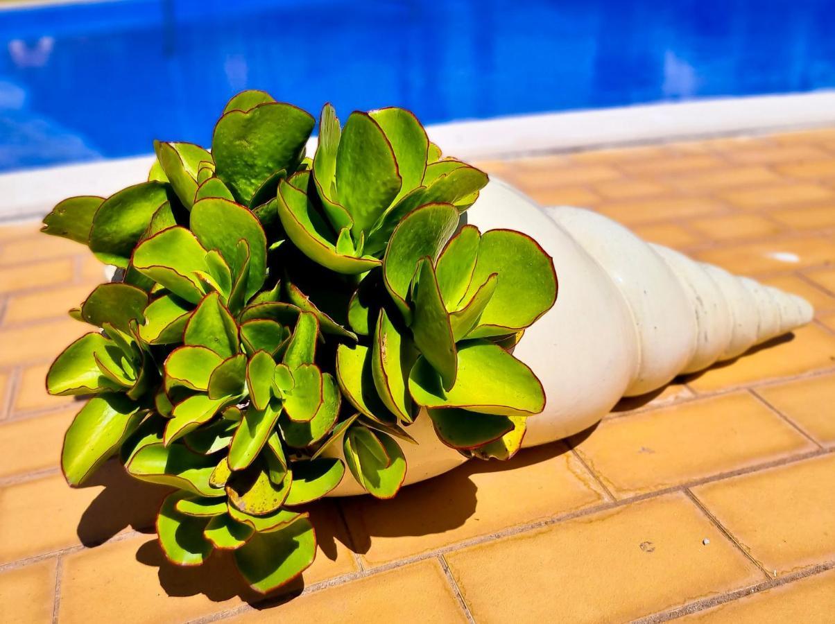 Flh Vilamoura Summer Flat With Pool Luaran gambar